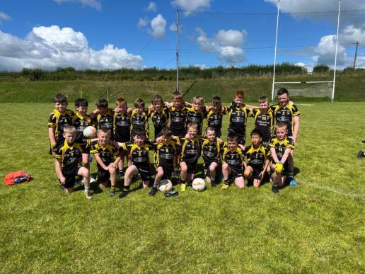 County GAA Pilot TEST