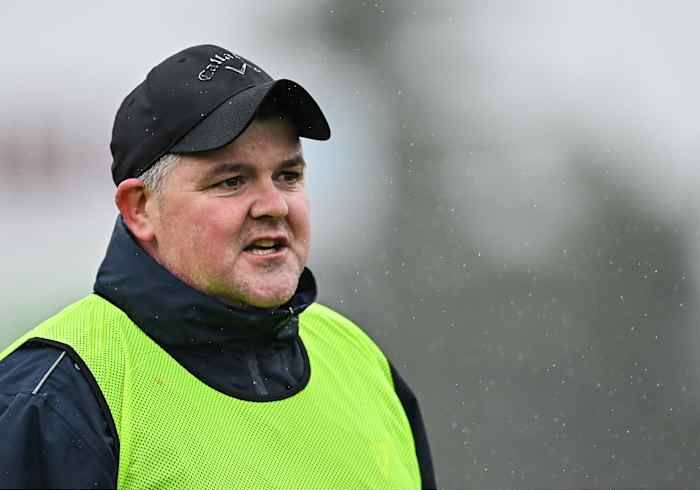 Shine expects Dowd to be a Roscommon success story