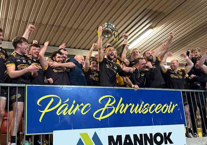 Fermanagh SFC Final: Erne Gaels retain title