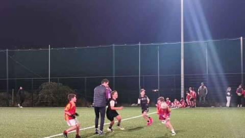 Positive reaction to Wexford GAA initiative