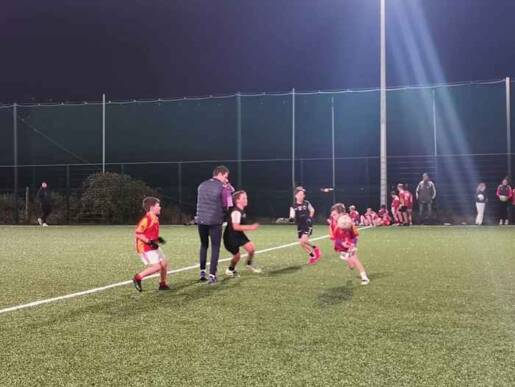 County GAA Pilot TEST