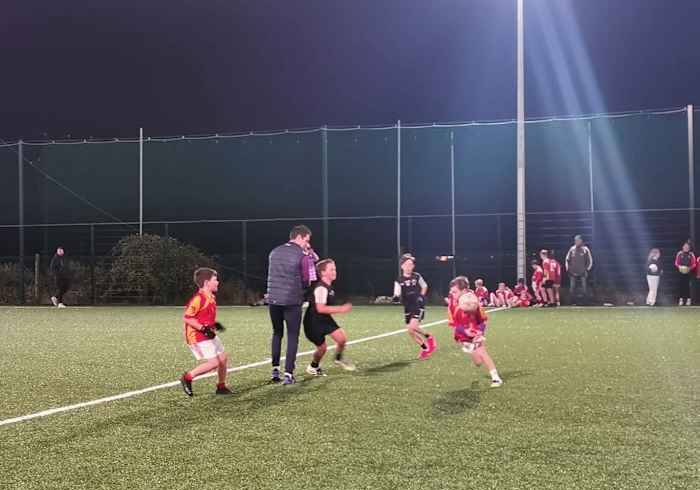 Positive reaction to Wexford GAA initiative