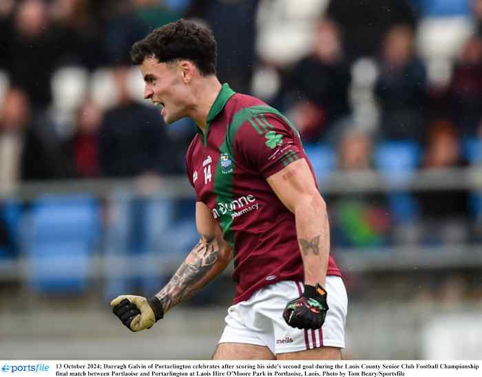 AIB Leinster Club SFC: Galvin inspires Portarlington to victory