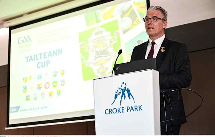 Tailteann Cup Round 2A and 2B draw details