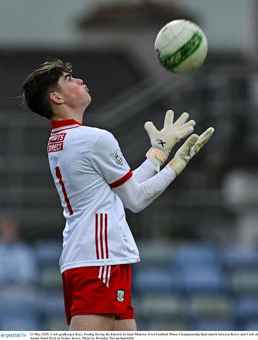 Electric Ireland MFC QF: Cork cruise to victory