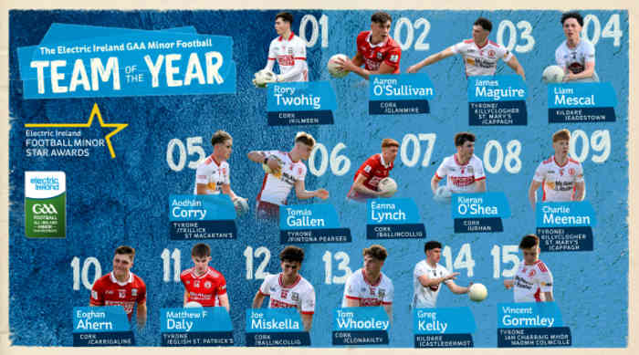 Electric Ireland GAA Minor Star Football Team of the Year